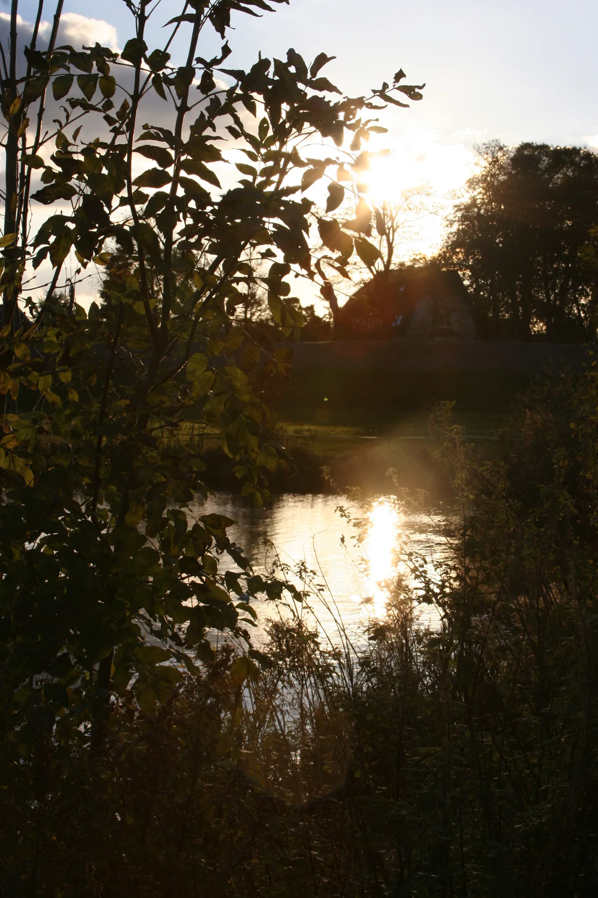 Herbstliche Blätter und Sonnenlicht am Wasser in Dreye