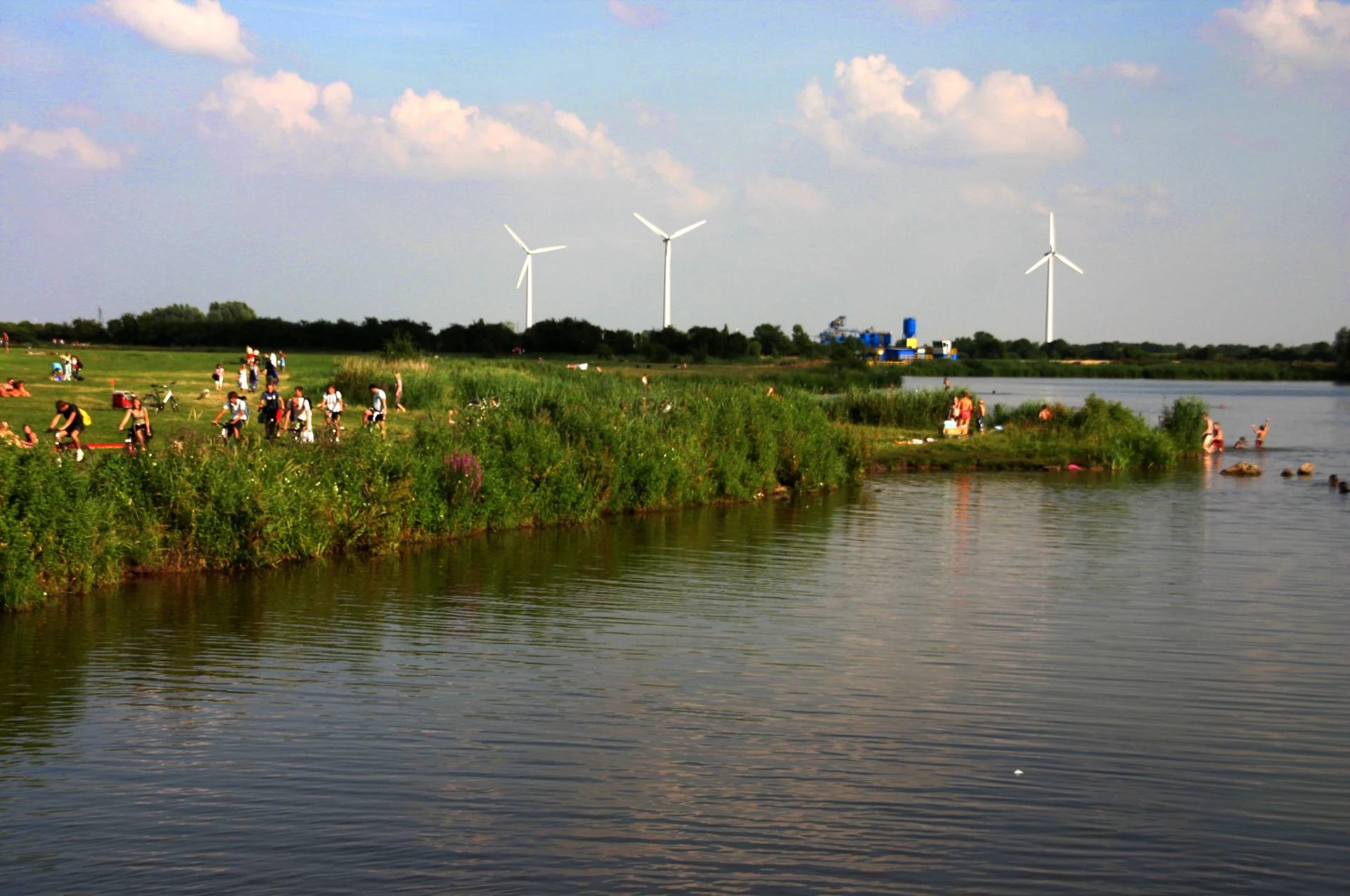 Sommerliche Uferwiese am Wasser in Dreye mit Windrädern im Hintergrund